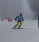 Ski (5)